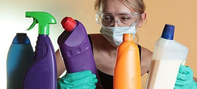 Аллергия на порошок ушастый нянь