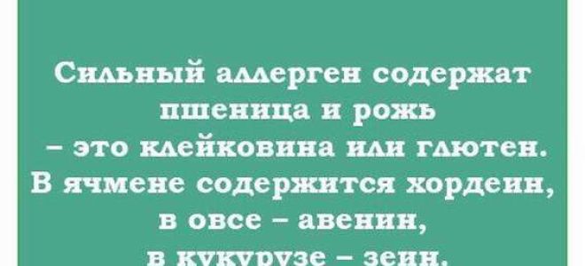 Аллергия на злаковые