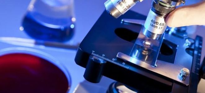 Анализ крови на пищевые аллергены