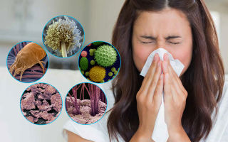 Аллергия на пыльцу у беременных