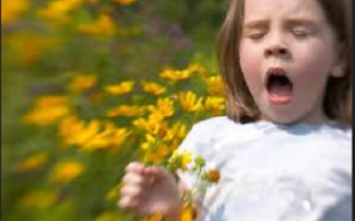 Как понять на что аллергия у ребенка