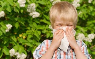 Лучшие средства от аллергии на пыльцу