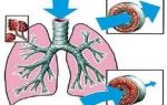 Чем лечить бронхиальную астму у взрослых