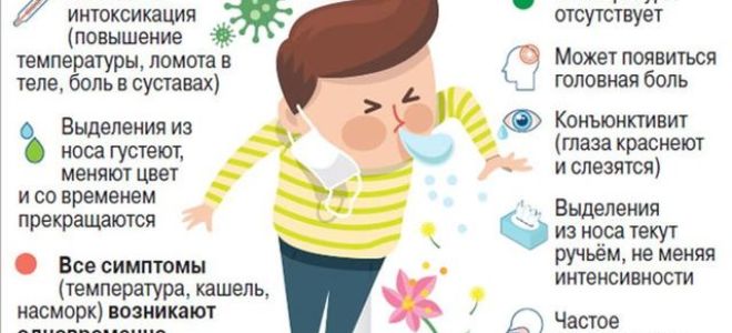 Как отличить аллергический кашель от простудного