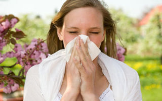 Аллергия или простуда
