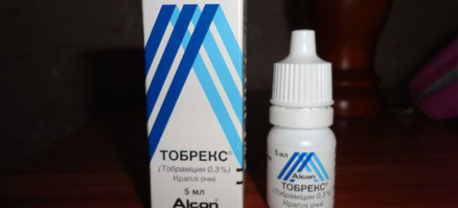 Капли для глаз для беременных