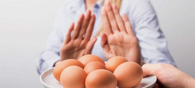 Может ли быть аллергия на яйца