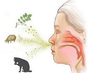 Признаки аллергического кашля у взрослых