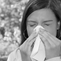 Как избавиться от аллергии на амброзию