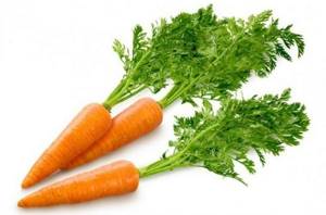 Аллергия на морковь у грудничка