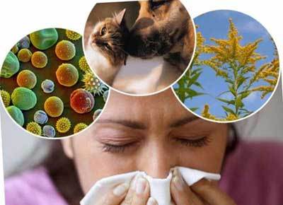 Что такое сенная лихорадка