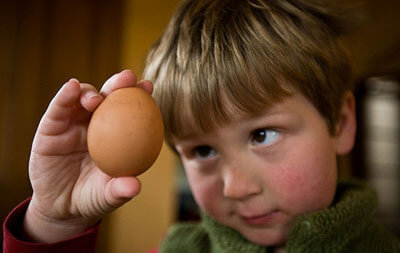 Пищевая аллергия на яйца