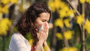 Чем лечить аллергию на амброзию