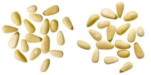 Аллергия на кедровые орехи симптомы