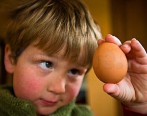 Аллергия на курицу у ребенка