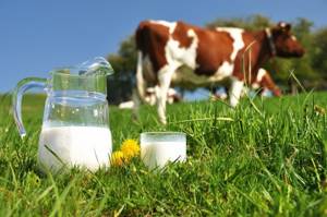 Непереносимость коровьего белка у грудничка