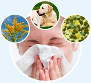 Приступ аллергии симптомы