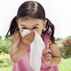 Что делать если чешутся глаза при аллергии