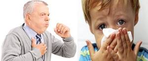 Аллергия на пыль лечение