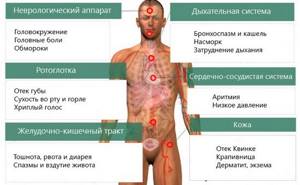 Аллергия у йорков симптомы и лечение