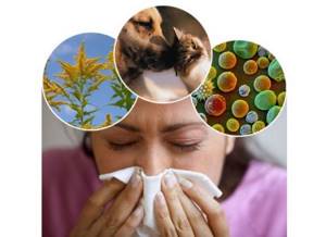 К чему может привести аллергия