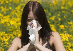 Обострение аллергии что делать