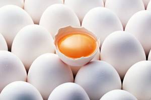Аллергия на яйца у взрослых симптомы