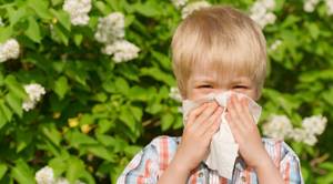 Как лечить аллергический ринит у детей