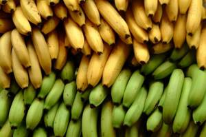 Аллергия на бананы у взрослых
