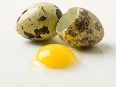 Аллергия на яйца у грудничка