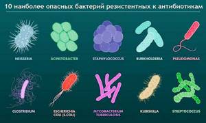 Антибиотики из чего делают
