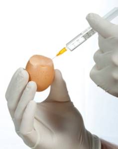 Аллергия на белок яйца