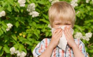 Аллергия на пыльцу лекарства