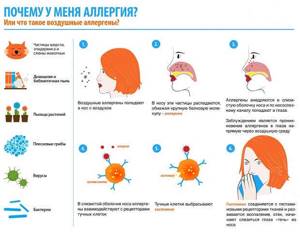 Аллергическая сыпь симптомы