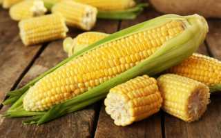 Аллергия на кукурузную кашу