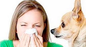 Лекарство от аллергии на животных