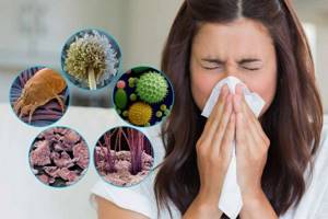 Что делать при аллергии на пыль