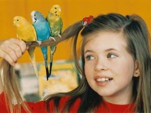 Как проявляется аллергия на попугаев
