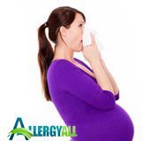 Аллергия на амброзию при беременности