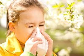 Сезонный аллергический ринит лечение