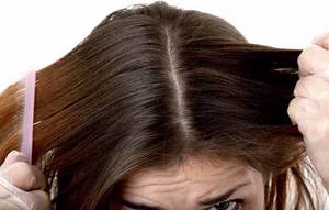 Себорейный дерматит волосистой части головы причины