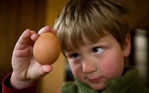Аллергия у детей на яйца симптомы