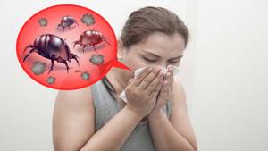 Аллергия на клещей домашней пыли