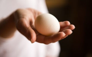 Аллергия на белок яйца