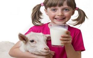 Козье молоко при аллергии у ребенка