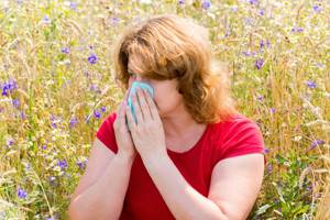 Аллергия на пыльцу сорных трав