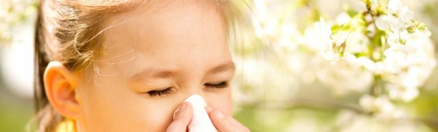 Как определить аллерген в домашних условиях