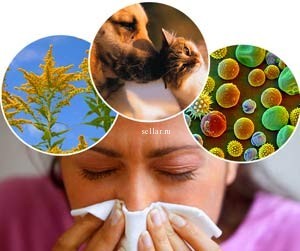 Виды аллергенов